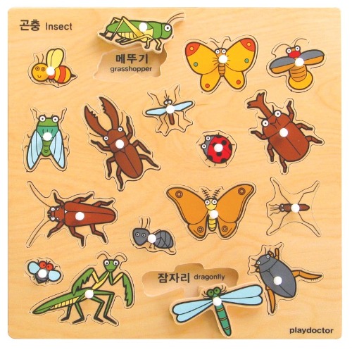 주제별언어퍼즐-곤충