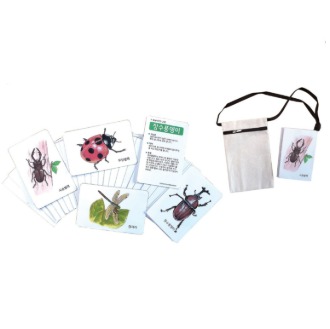 자연그림카드카드곤충